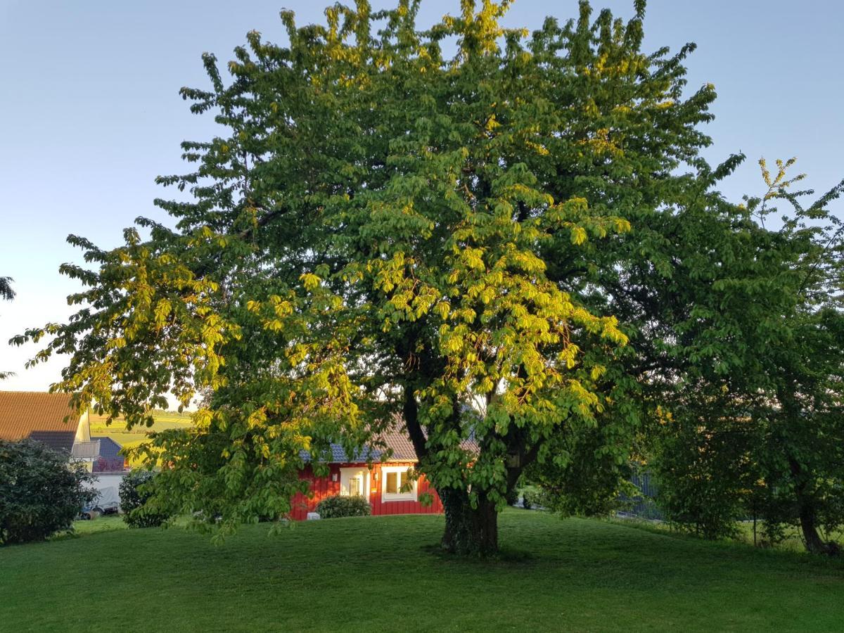 Ferienhaus Loeh Kleinmaischeid Bagian luar foto
